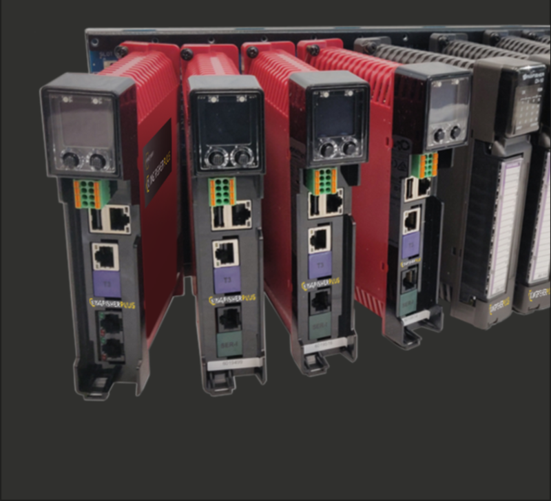 Kingfisdher plus grey.png