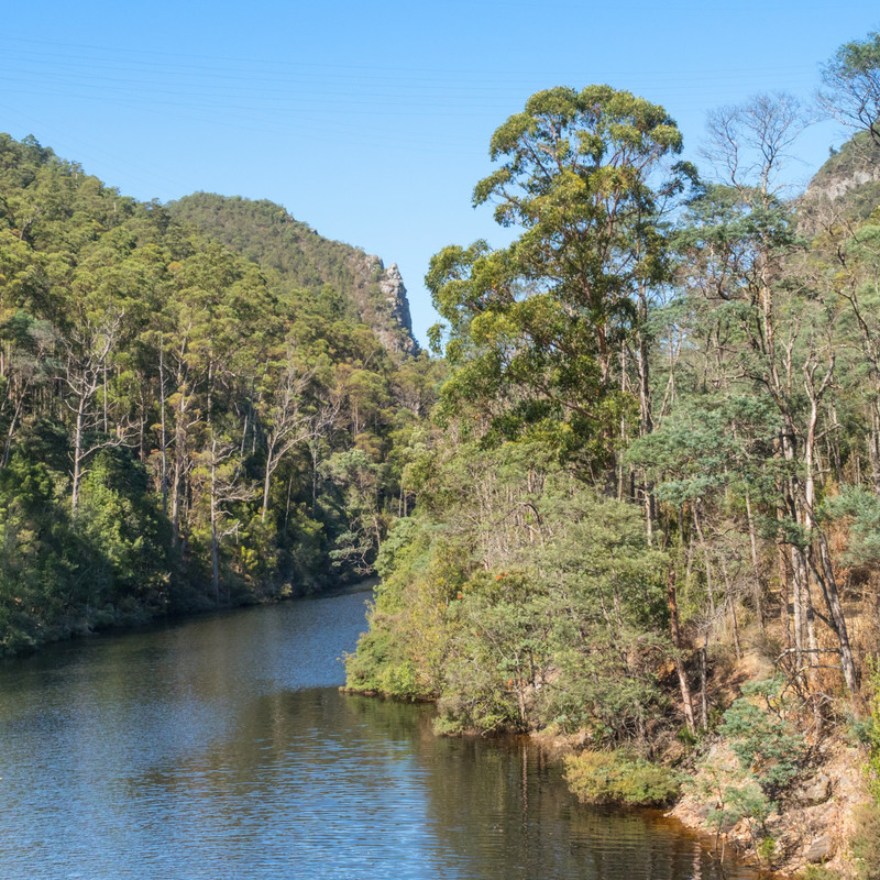 River flowing through a forested landscape in Tasmania.