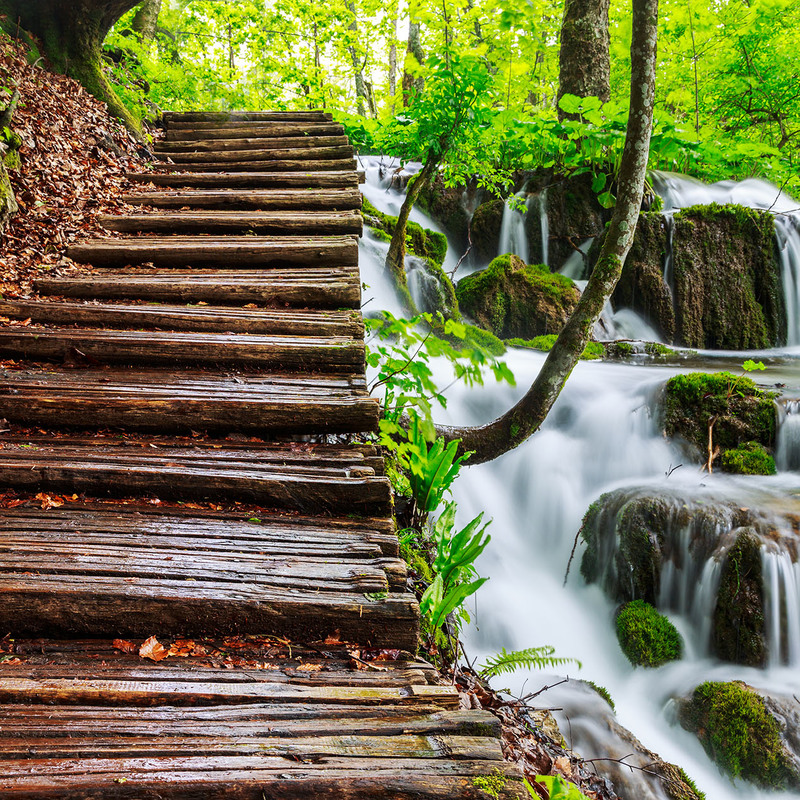 Waterfall with steps in a wood